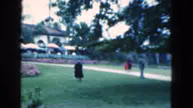 Florida USA (1975): Many People Walking Through A Big Beautiful Garden