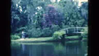 Florida USA (1975): Young Lady Pick Flowers In Classic Garden With Foliage And