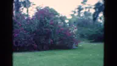 Florida USA (1975): Two Women In A Decorative Backyard With Large Bushes And Trees
