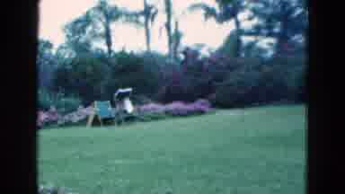 Florida USA (1975): A Lady Looks At Flowered Bushes And A Well Landscaped Yard