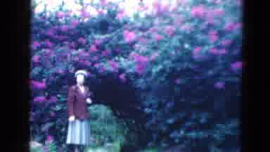 Florida USA (1975): A Lady Admiring A Beautiful Garden