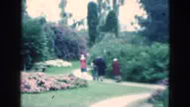Florida USA (1975): Family Walks Through A Garden And Many Flowers Are Shown