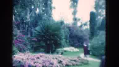 Florida USA (1975): The Flower Garden Are So Beautiful Thats Why People Are