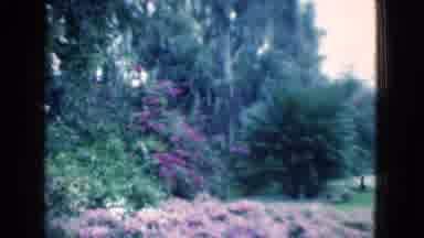 Florida USA (1975): The Most Beautiful Places In The World Could Take A Lifetime
