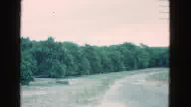 Florida USA (1975): A Road By Power Lines Trees And Grass On A Cloudy Day