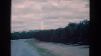 Florida USA (1975): A View N Of A Deserted Forest