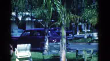 Florida USA (1975): A View Of Old Cabins Palm Trees And Forest
