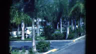 Florida USA (1975): A View Of A Neighborhood In Which An Old Man Is Calmly