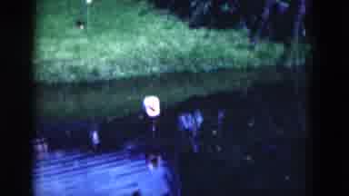 Florida USA (1975): Pink Flamingo Wades Through Pond Water Eating On A Bright