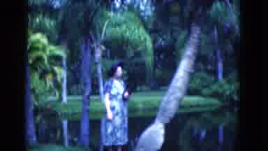 Florida USA (1975): During A Local Park Visit Visitors Indulge Nature And Animals