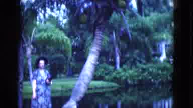 Florida USA (1975): Woman Standing Beside Large Coconut Tree Bearing Fruit Beside