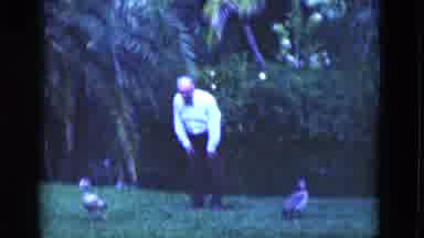 Florida USA (1975): The Old Man Sees The Birds And The Lioness Goes There