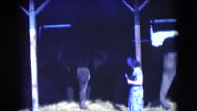 Florida USA (1975): Meet The Elephants!