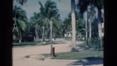 Florida USA (1975): The Man Walking In The Road