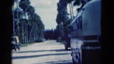 Florida USA (1975): A Street With Many Cars Parked At The Side And With Many Palm