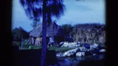 Florida USA (1975): Primitive Looking Straw Huts Dot The Landscape In Front Of