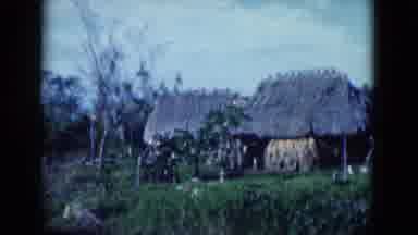 Florida USA (1975): It Is The Poorest Place But It Is Very Nature To See More
