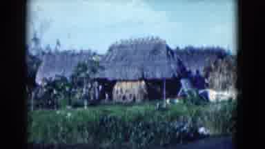 Florida USA (1975): Huts In A Marshy Area With Trees And Clouds In The Background