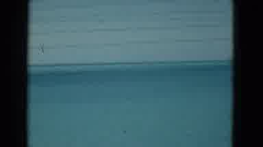 Florida USA (1975): Long View Of Blue Ocean With No Objects Visible Except The Sea