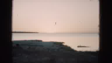 Florida USA (1975): A View Of The Forest And A Pretty Of The Ocean
