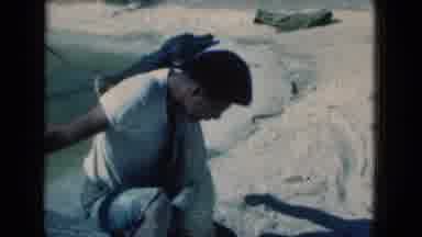 Florida USA (1975): Man Wrestles Large Crocodile Large Body Of Water