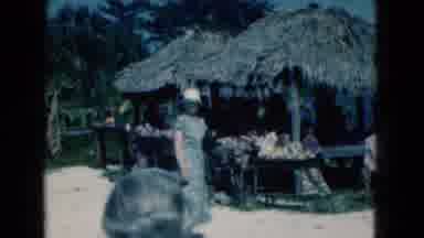 Florida USA (1975): Vintage Footage Of Family Playing In The Sand Or Beach With An