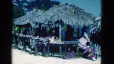 Florida USA (1975): Huts Built By Wood And Leaves With People Inside Protect From