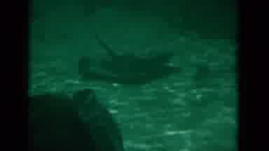 Florida USA (1975): A View Of Sea Wildlife Swimming In Their Habitat