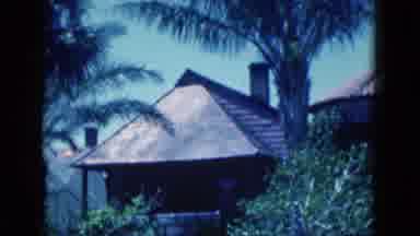 Florida USA (1975): Wind Through The Palms
