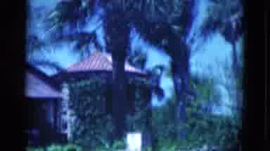 Florida USA (1975): Tropical Homes