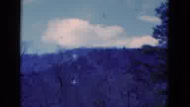 Florida USA (1975): A View Of The Tall Mountains And The Bare Trees
