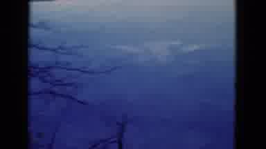 FLORIDA USA-1975: A Wide View Of The Mountains And Trees Looks Lovely