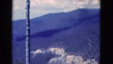 Florida USA-1975: A Lovely View Of Bare Trees In Front Of The Gray Mountains