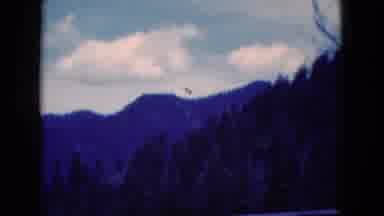 Florida USA (1975): Scene Of Mountains With Pine Trees On The Forefront And Clouds