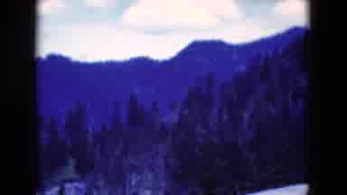 Florida USA (1975): Span View Of A Forest Hill Side During Winter Season