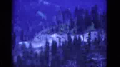 Florida USA (1975): Man Sees Beautiful Hill With Beautiful Spectacle Of Nature In