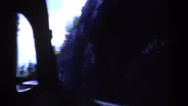 Florida USA (1975): Old Video Horse And Carriage Car Transition Time Horseless