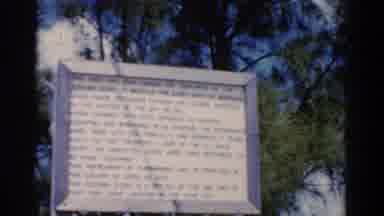 Florida USA (1975): Winding Blowing The Trees In The Background While Focusing On