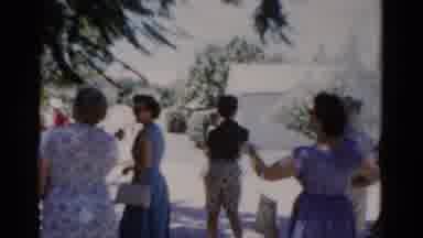 Florida USA (1975): People Looking At Swans Walking On A Bright Sunny Day