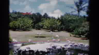 Florida USA (1975): A View Of A Landmark Building And Duck Pond