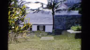 Florida USA (1975): A Group Of Women Walking Together In A Field
