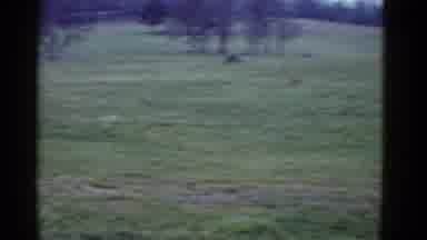 Boston Mass USA (1975): Marathon In The Woods