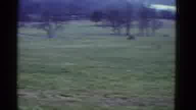Boston Mass USA (1975): A Man Run In The Forest And Behind Two Man Run In A Garden
