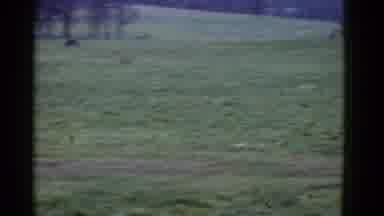 Boston Mass USA (1975): Two Men Running Cross Country Back In Time
