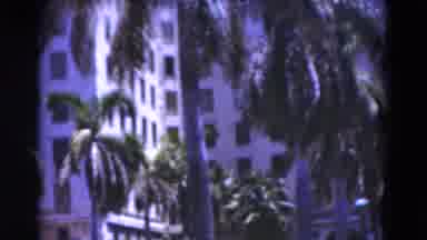 Florida USA (1975): A Pretty Ocean View And A View Of Unique Buildings And Palm