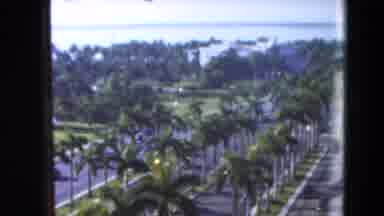 Florida USA (1975): Cars Traveling On A Sunny Road With Palm Tree In California