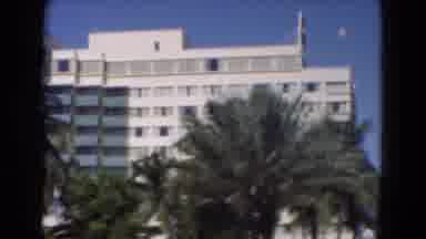 Florida USA (1975): Outside Design Of A White Building Located Around Palm Trees