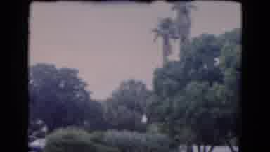 Florida USA (1975): Lush Green Lawn And Trees With Brown And White Buildings On A