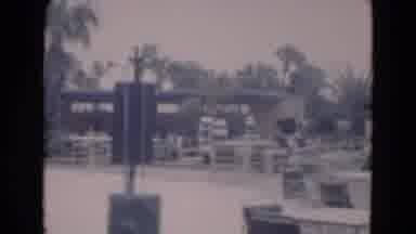 Florida USA (1975): A Scene With Palm Trees And Two People In Chairs