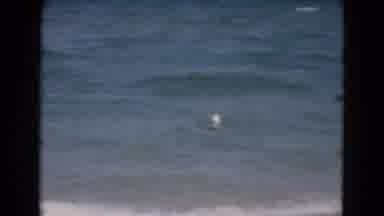 Florida USA (1975): A Person Is Bobbing Along In The Shallow Waves Of The Ocean